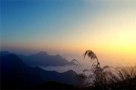 上海女生自考最實(shí)用的專業(yè)