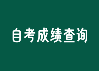 上海自考成績(jī)查詢需要身份證嗎?